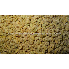 Fenugreek seeds india